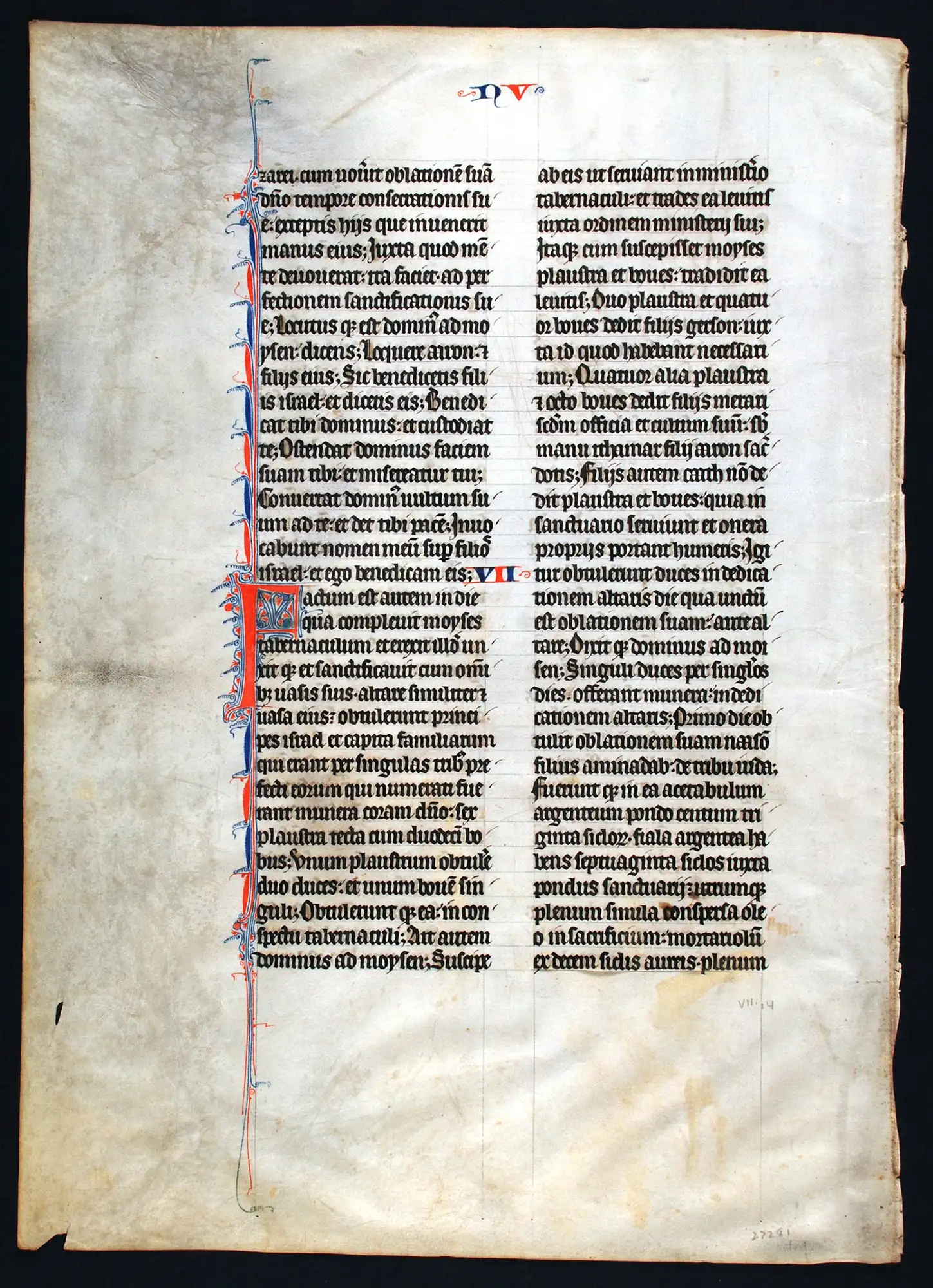 3, Reed Gallery Dunedin Public Libraries Official Website