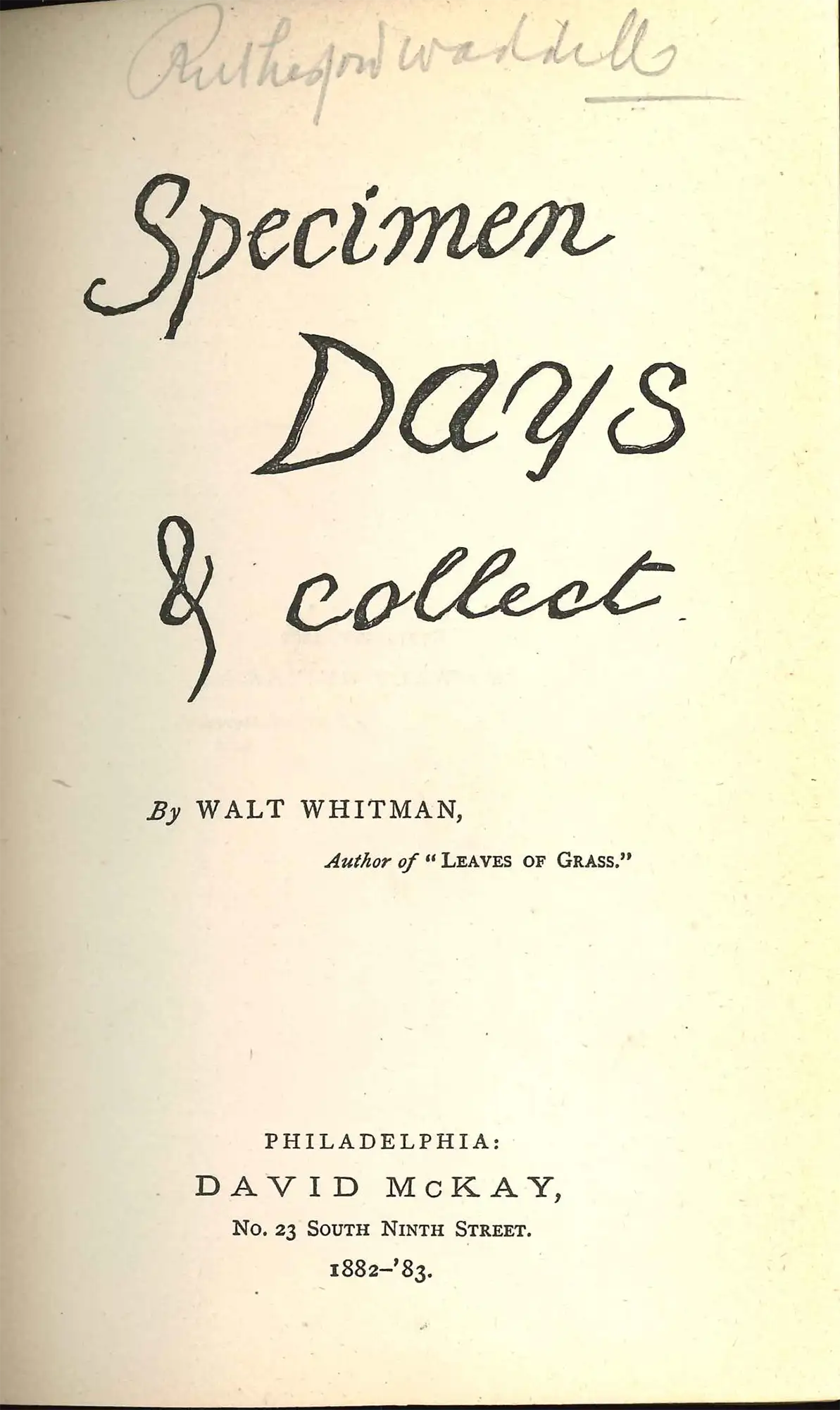 6, Reed Gallery Dunedin Public Libraries Official site