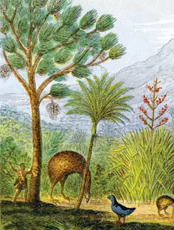 Tales from a long bright land – March 2014